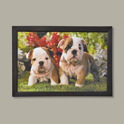 Cute White And Brown Dogs Wall Painting Wooden Frame With Sparkle Paper Sheet Decor For Living Room Bed Room