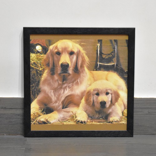 Cute Dogs Wall Painting Wooden Frame With Sparkle Paper Sheet Decor For Living Room Bed Room