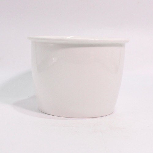 Fancy White Ceramic Pot | Decorative Indoor Outdoor Ceramic Pots for Plants