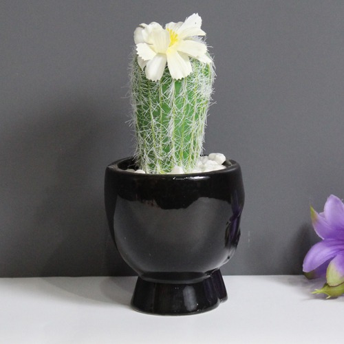 Artificial Cactus Black Pot | Artificial Plant with Pot Artificial Plants for Home Decor Decorative Plants Artificial Flowers with Pot