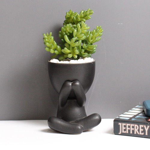 Artificial Burro's -Tail Plant | Plant in Plastic Pot for Home Decor | Decoration Items for Living Room | Decorative Table Top Indoor Plants