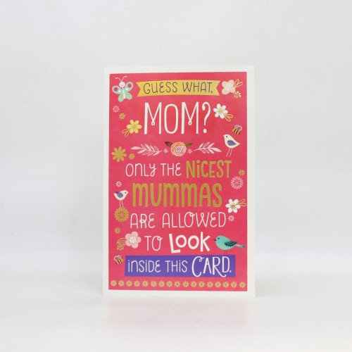 Guess What Mom ? Only The Nicest Mummas Are Allowed To Look Inside This Card | Greeting Card | Mother's Day Card