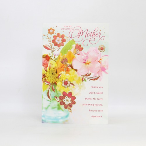 For My Wonderful Mother Mother's Day Special Greeting Card | Greeting Card