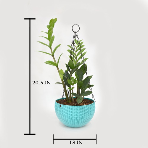 Zamiya Hanging Plant | Hanging Plant Pot - Decorative Items For Home, Gift, Living Room, Bedroom, Balcony, Office