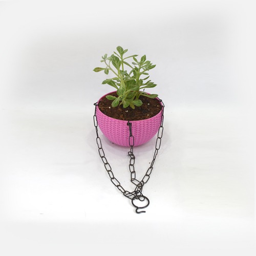 Succulents Hanging Plant | Hanging Succulent Plant Hanging Rope