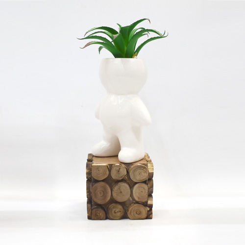 Artificial Plants | Plants for Home Decor, Living Room, Balcony | Wall Shelf Side Table Office Home Decoration