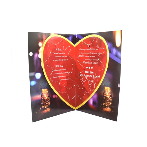 You Have My Heart - Love Card with LED Lights Inside