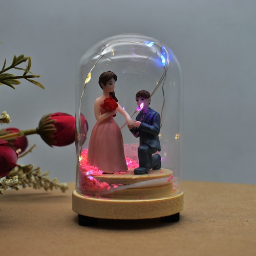 Couple Glass Dome With Fairy Lights