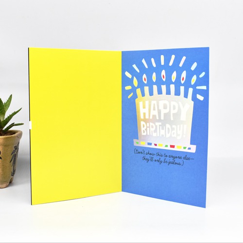 On The Inside Of The Card... Birthday Greeting Card