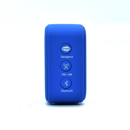 Saregama Carvaan Mini Hindi 2.0- Music Player Regal Blue