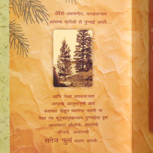 बाबाचावाढदिवस Greeting Card