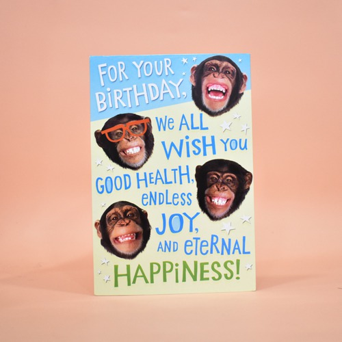 For Your Birthday / Birthday Card | Greeting Card