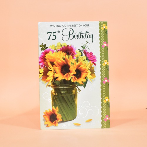 Wishing You the Best, on Your 75th Birthday | Greeting Card