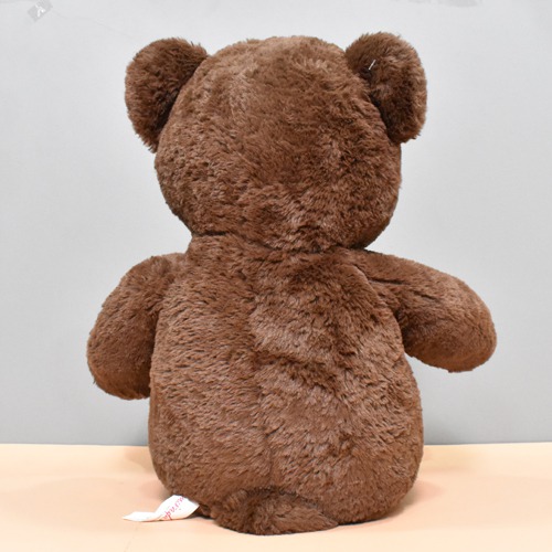 Floopy Teddy Bear Soft Toy