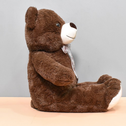 Floopy Teddy Bear Soft Toy