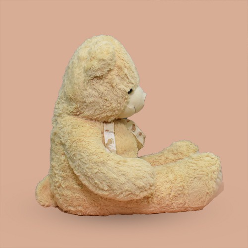 Large Size Cream Colour Teddy Bear Soft Toy