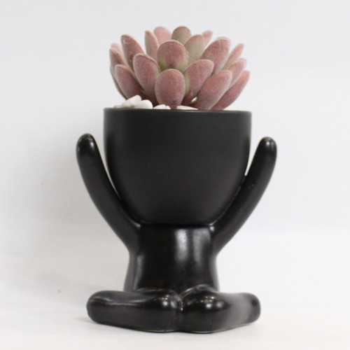 Indoor Artificial Black Pot Plant  | Plant in Plastic Pot for Home Decor | Decoration Items for Living Room | Decorative Table Top Indoor Plants for Office Desks & Counters