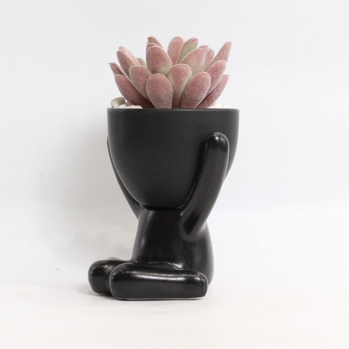 Indoor Artificial Black Pot Plant  | Plant in Plastic Pot for Home Decor | Decoration Items for Living Room | Decorative Table Top Indoor Plants for Office Desks & Counters