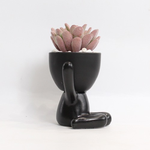 Indoor Artificial Black Pot Plant  | Plant in Plastic Pot for Home Decor | Decoration Items for Living Room | Decorative Table Top Indoor Plants for Office Desks & Counters