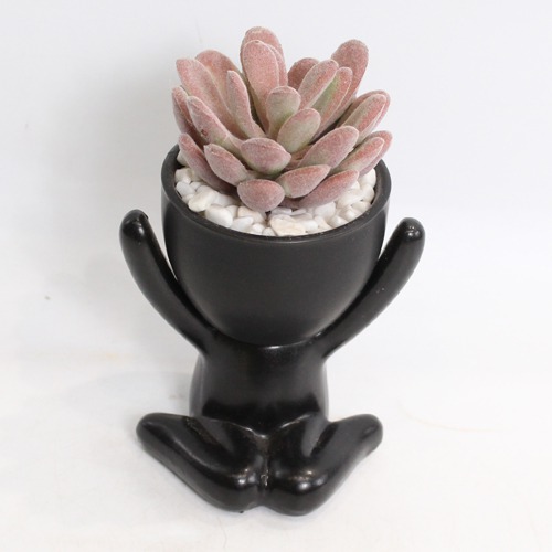 Indoor Artificial Black Pot Plant  | Plant in Plastic Pot for Home Decor | Decoration Items for Living Room | Decorative Table Top Indoor Plants for Office Desks & Counters