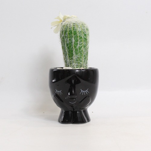 Artificial Cactus Black Pot | Artificial Plant with Pot Artificial Plants for Home Decor Decorative Plants Artificial Flowers with Pot