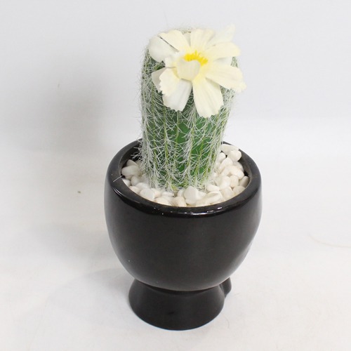 Artificial Cactus Black Pot | Artificial Plant with Pot Artificial Plants for Home Decor Decorative Plants Artificial Flowers with Pot