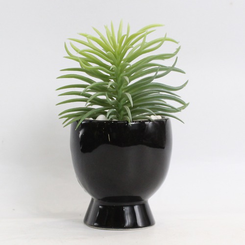 Artificial Senecio Barbertonicus Plant | Artificial Plant with Pot Artificial Plants for Home Decor Decorative Plants Artificial Flowers with Pot