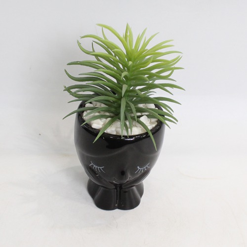 Artificial Senecio Barbertonicus Plant | Artificial Plant with Pot Artificial Plants for Home Decor Decorative Plants Artificial Flowers with Pot