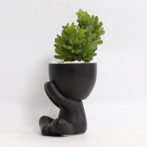 Artificial Burro's -Tail Plant | Plant in Plastic Pot for Home Decor | Decoration Items for Living Room | Decorative Table Top Indoor Plants