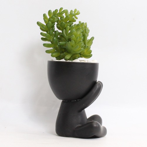 Artificial Burro's -Tail Plant | Plant in Plastic Pot for Home Decor | Decoration Items for Living Room | Decorative Table Top Indoor Plants