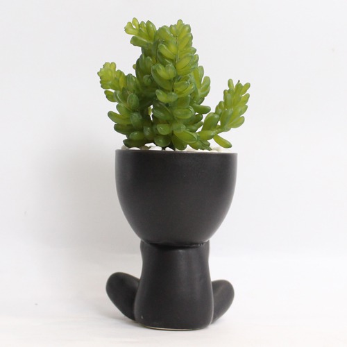 Artificial Burro's -Tail Plant | Plant in Plastic Pot for Home Decor | Decoration Items for Living Room | Decorative Table Top Indoor Plants