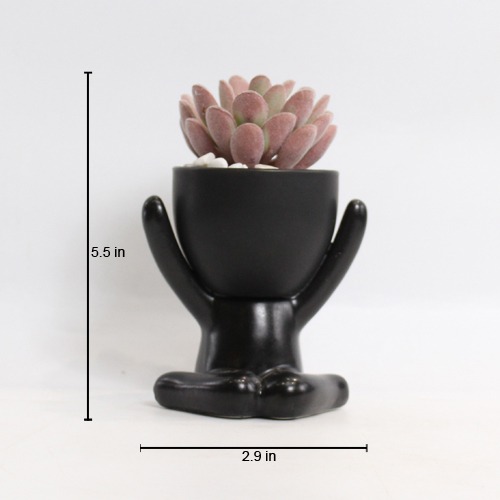 Indoor Artificial Black Pot Plant  | Plant in Plastic Pot for Home Decor | Decoration Items for Living Room | Decorative Table Top Indoor Plants for Office Desks & Counters