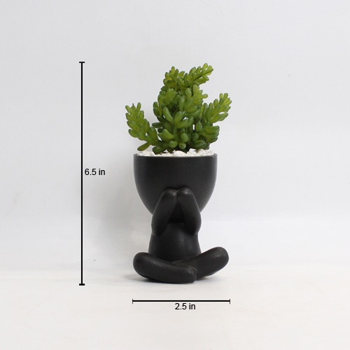 Artificial Burro's -Tail Plant | Plant in Plastic Pot for Home Decor | Decoration Items for Living Room | Decorative Table Top Indoor Plants