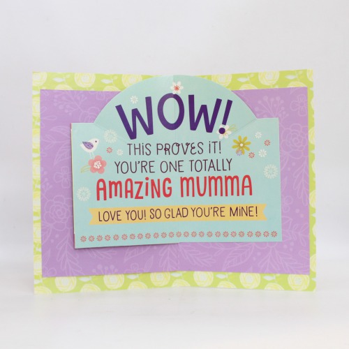 Guess What Mom ? Only The Nicest Mummas Are Allowed To Look Inside This Card | Greeting Card | Mother's Day Card