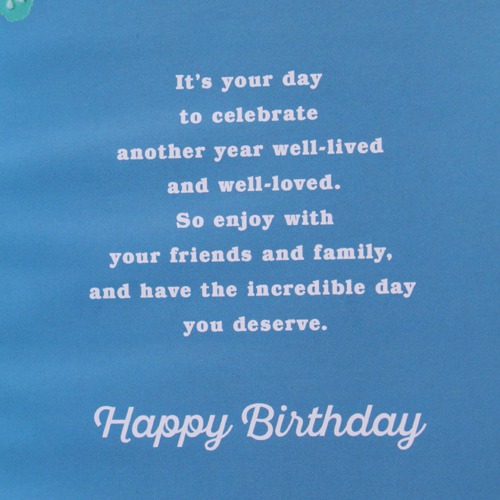 Today is Your Day| Birthday Greeting Card