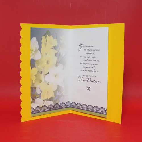 Congratulation on your New Venture| Congratulation Greeting Card