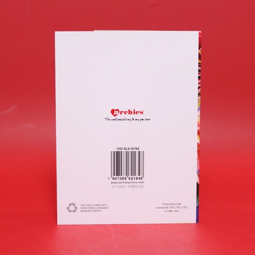 Blank Cards with Envelopes - 10 Birthday Theme Blank Note Cards with Envelopes – 5 Assorted Cards