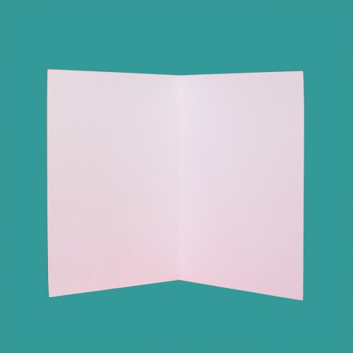 Flower Blank Note Card For All Occasions( Set of 10 Card)