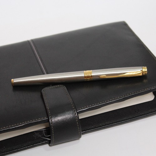 Parker Aster Brushed Metal Roller Ball Gold Trim Pen